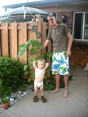 Exhibit B: The sunflowers almost as tall as me!